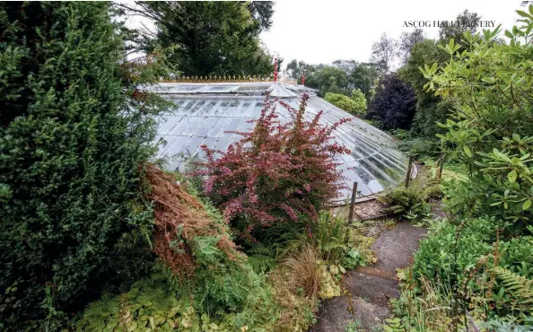  ??  ?? Top: Looking on to the beautiful Fernery. Above left: Scarlet Crocosmia lucifer. Above right: Ascog Hall gate flanked with hydrangea.