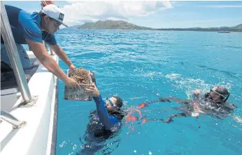  ??  ?? NEW LEASE OF LIFE: A box of nursery-grown coral is handed to a diver off the coast of Praslin, Seychelles, where coral is being reintroduc­ed.