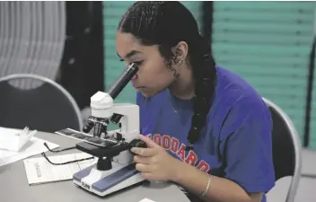  ?? ?? Photo Courtesy of District One
Children might not have access to science equipment like microscope­s during the summer but keeping them curious about science and well-practiced in the math their studies require can help a lot for going back to school.