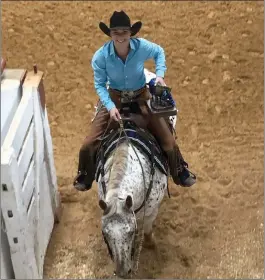  ?? Courtesy photos
/ Joane Job ?? Sonora equestrian­teresa Job, 23 , shows off the trophies she and her beloved 12-year-old Appaloosa horse, Duke, won at the 2021 World Appaloosa Show at Will Rogers Equestrian Center (top). Job and Duke competed Oct. 29 to Nov. 6 (above).