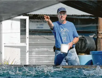  ?? Jay Laprete / Associated Press ?? BP has invested in a Silicon Valley company that makes feed for fish farms from bacteria and natural gas. The demand for fish and livestock feed is growing as the energy industry is coming under pressure to reduce emissions of methane.