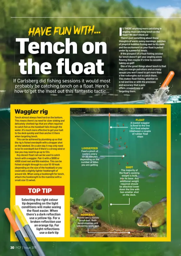 Tench on the float - PressReader