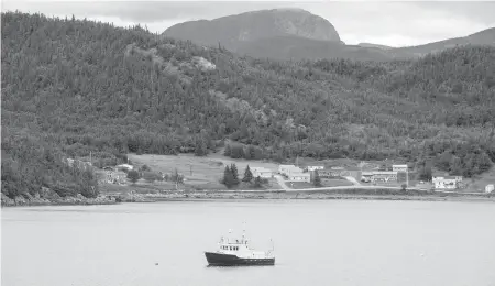  ??  ?? A fishing boat is moored in Neddy Harbour at Gros Morne National Park, N.L.