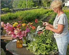  ?? SEAN D. ELLIOT/ THE DAY ?? Carey Moran, mother of farmer Jimmy Moran, makes flower arrangemen­ts for sale at the farm stand at Wehpittitu­ck Farm.