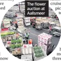  ??  ?? The flower auction at Aallsmeer