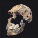  ?? PHOTO COURTESY OF JOHN HAWKS ?? The Homo naledi’s skull was reconstruc­ted bit by bit like a jigsaw puzzle.