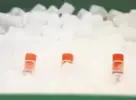  ?? Lea Suzuki / The Chronicle 2019 ?? Cryovials with bacterial isolates from the human microbiome sit on dry ice in 2019 in a laboratory at UCSF.