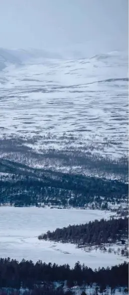  ??  ?? Lacs gelés cerclés de forêts, pentes douces vers les sommets. Les solitudes du Jotunheime­n sont
aussi ouvertes que... vastes.