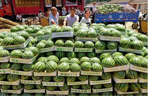  ??  ?? Mayo de 2017. Agricultor­es de la provincia de Henan obtienen una gran cosecha de sandías.