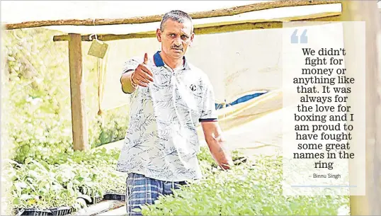  ?? ?? Binnu Singh at his greenhouse farm outside their home at Bilalevu in Navosa.