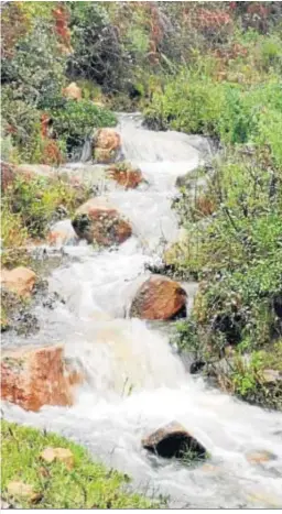  ??  ?? El río baja estos días cargado de agua.