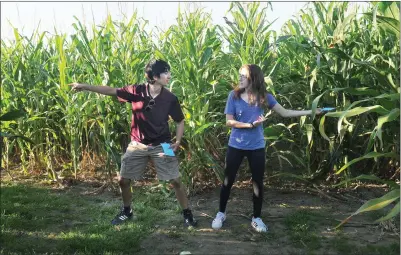  ?? Ernest A. Brown/The Call ?? Arthur Knust Graichen, 17, of Blackstone, left, and Libby Correia, 15, of Millville, are lost in the corn maze at Wojcik's Farm Friday evening, and debating on which way to go to get out.