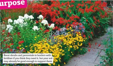  ??  ?? Boost shrubs and perennials in borders with fertiliser if you think they need it, but your soil may already be good enough to support them