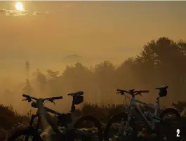  ?? ?? 2. An atmospheri­c early-morning pic from Woolsbarro­w Hillfort above Wareham Forest, Dorset, by Dan Probut