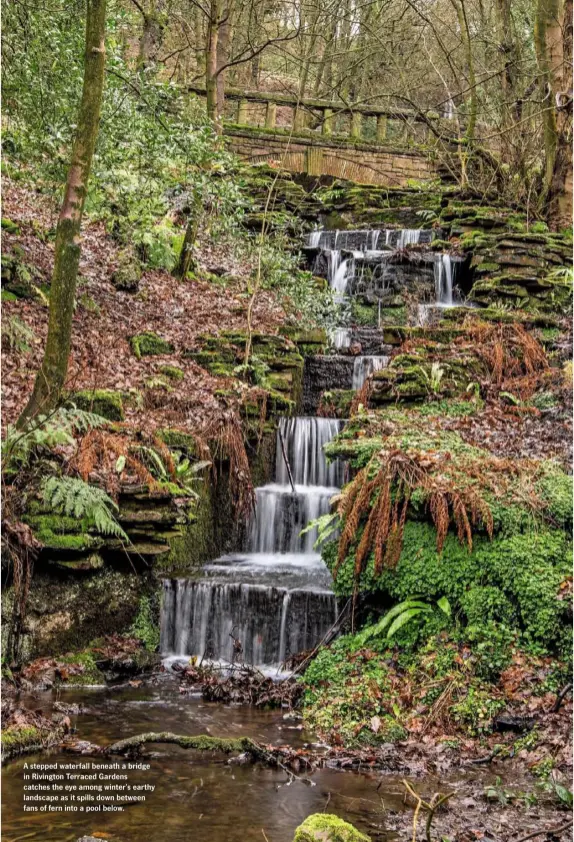  ??  ?? A stepped waterfall beneath a bridge in Rivington Terraced Gardens catches the eye among winter’s earthy landscape as it spills down between fans of fern into a pool below.