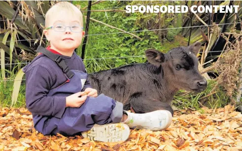  ?? Photos / Supplied ?? Each year, farmers are asked to pledge a calf when the calf is weaned or make a virtual donation.