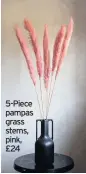  ??  ?? 5-Piece pampas grass stems, pink, £24