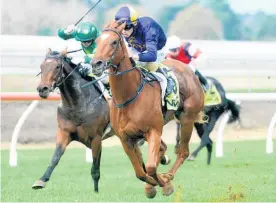  ?? Picture / Race Images ?? Let Me Roar (right) contests race 3 at Tauranga tomorrow.