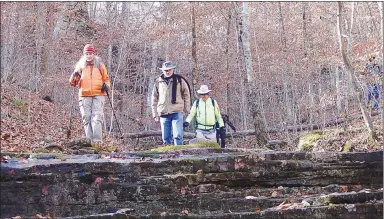  ?? NWA Democrat-Gazette/Fiip Putthoff ?? Kate Williams (from left), David Orth and Bob Morgan explore a side hollow off the Buffalo River Trail near Steel Creek.