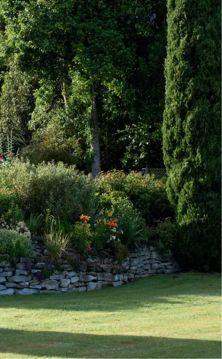  ??  ?? LEFT Kāmahi homestead and its sheltering native trees as viewed from the lower lawn; the raised garden bed – bright with lilies – is flanked by Italian cypresses; the seat was made by a local handyman from recycled tōtara posts and the stone wall was built from King Country limestone.