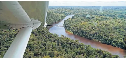  ?? FOTOS (2): STEVEN HILLE ?? Suriname komplett auf eigene Faust zu bereisen, ist wegen mangelnder Infrastruk­tur schwierig bis unmöglich.