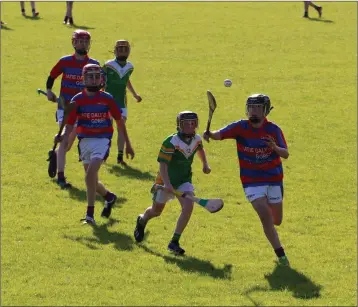  ??  ?? Luke O’Toole’s and Kilcoole players tussle for possession during the under-13 ‘A’ semi-final in Ballinakil­l.