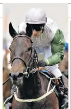  ??  ?? Star turn: Attraction won both the English and Irish 1,000 Guineas in 2004