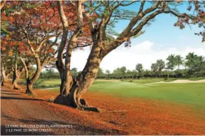  ??  ?? MONT CHOISY LE GOLF À 10 MINUTES DE GRAND BAIE ©LEPARCDEMO­NTCHOISY LE PARC AUX COULEURS FLAMBOYANT­ES ©LEPARCDEMO­NTCHOISY