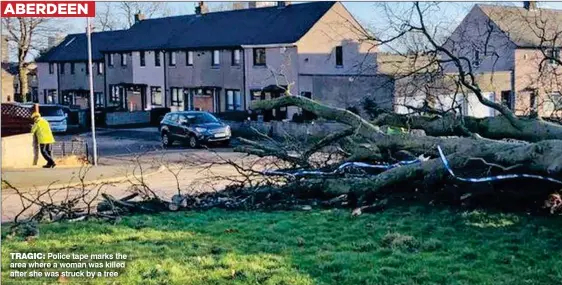  ?? ?? ABERDEEN
TRAGIC: Police tape marks the area where a woman was killed after she was struck by a tree