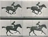  ??  ?? Action: Eadweard Muybridge was the first to show a horse in motion