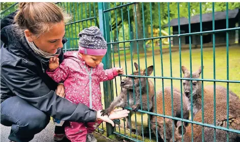  ?? FOTO: JANA BAUCH ?? Im wieder geöffneten Mönchengla­dbacher Tiergarten füttern Eli Hoppen und die elf Monate alte Anni Kängurus.