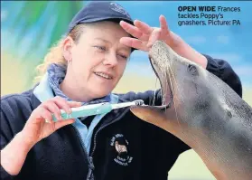  ??  ?? OPEN WIDE Frances tackles Poppy’s gnashers. Picture: PA