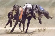  ?? — AFP ?? More than 20 dog tracks have been dotted around London since modern greyhound racing was introduced to Britain in the 1920s.
