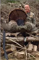  ?? (Arkansas Democrat-Gazette) ?? The author sat in a cedar spoil pile to call in this magnificen­t gobbler April 27 in Marion County.