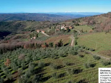  ?? ?? Clockwise, from left: Bibi Graetz’s vineyards in Lamole; Il Caggio Ipsus; Bibi Graetz Testamatta; Bibi Graetz Colore