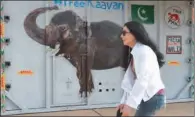  ?? (AFP) ?? US pop singer Cher walks past the crate containing Kaavan the Asian elephant upon his arrival in Cambodia’s Siem Reap on Monday.