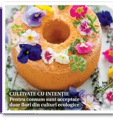  ??  ?? CULTIVATE CU INTENȚIE Pentru consum sunt acceptate doar flori din culturi ecologice.