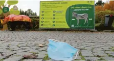  ??  ?? Auch der Augsburger Zoo wird von der Corona‰Krise hart getroffen. Aktuell ist er ge‰ schlossen.
Archivfoto: Bernd Hohlen