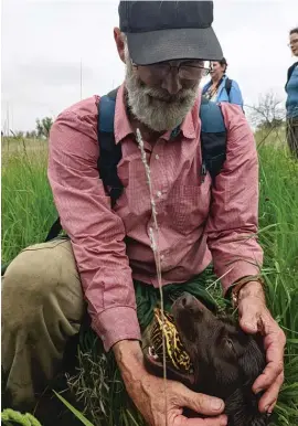  ?? ?? John Rucker praises Laz, one of his Boykin spaniels, for finding an ornate box turtle.