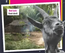  ??  ?? Bad luck: Goat-devil