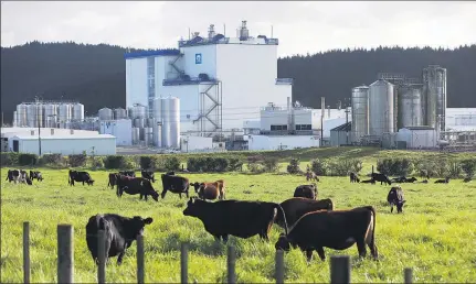  ?? Picture / NZME file ?? In New Zealand and overseas, dairy supply and demand are coming back into balance.