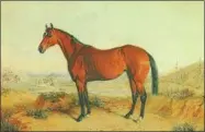  ?? PHOTO COURTESY NATIONAL MUSEUM OF RACING AND HALL OF FAME ?? A portrait of Ruthless from an Edward Troye painting courtesy of the Naitonal Museum of Racing and Hall of Fame.