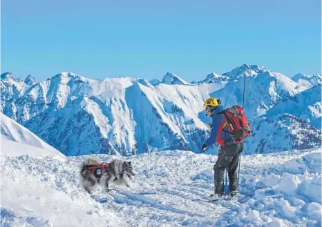  ?? ALLE FOTOS: DPA ?? Der Australien Shepard und sein Führer suchen im Rahmen des Ausbildung­stages der Allgäuer Lawinenhun­destaffel auf dem Nebelhorn auf einem Lawinenfel­d nach einer Puppe, die vorher im Schnee vergraben wurde.