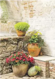  ?? PROVEN WINNERS ?? Pot groupings offer a way to bring plants together without interplant­ing. If one pot peters out, it can be replaced or removed. Three is usually enough.