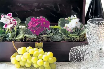  ??  ?? A trio of colour co-ordinated African violets planted in a recycled wine box. Just add a bottle of wine and pretty glasses for your Valentine.