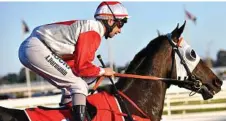  ?? Photo: AAP ?? WINNING RIDE: Anthony Darmanin steered Mystic Journey to success in the PB Lawrence Stakes.