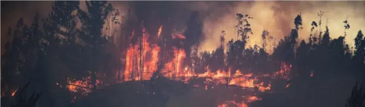  ??  ?? ► Incendio forestal en cuesta Balmaceda, Valparaíso.