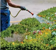  ?? Foto: Andrea Warnecke, tmn ?? Gartenbewä­sserung kostet Geld. Mieterinne­n und Mieter können an den Ausgaben über die Betriebsko­sten beteiligt werden.