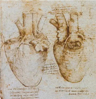  ??  ?? Leonardo da Vinci: The Heart (detail), circa 1512–1513