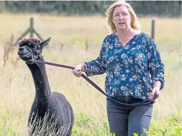  ??  ?? OUTRAGE: Helen Macdonald and Geronimo the alpaca who has now been euthanised.
